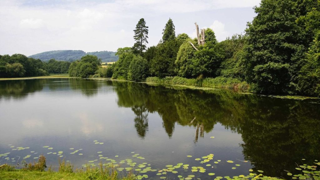 Riverside Serenity