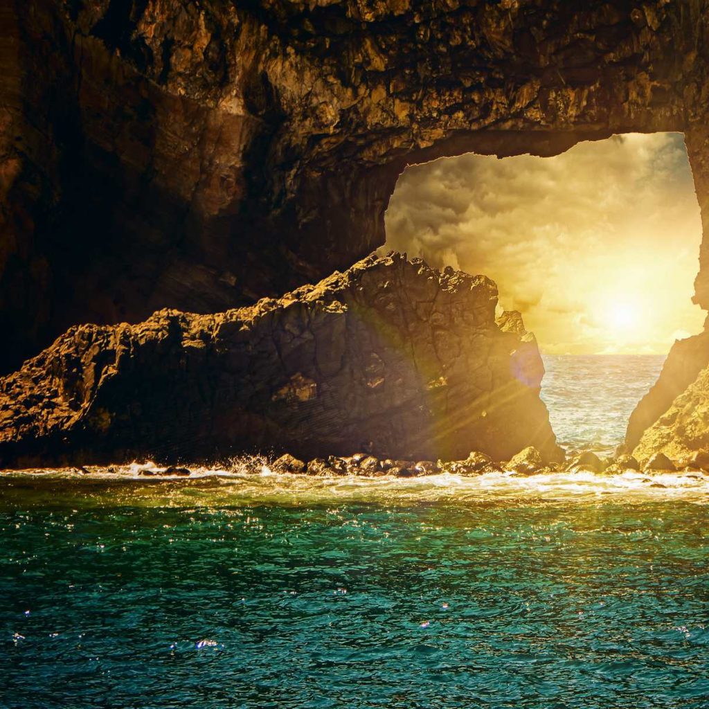 Embracing Nature’s Beauty